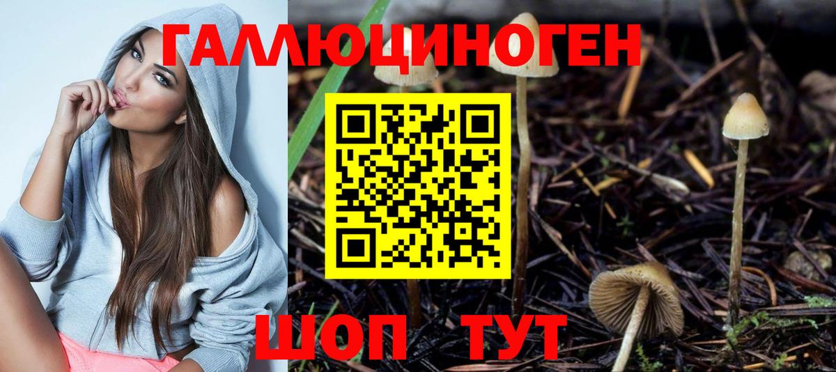 Галлюциногенные грибы Psilocybine cubensis  Вход с VPN  Светлоград  Галлюциногенные грибы Magic Shrooms 